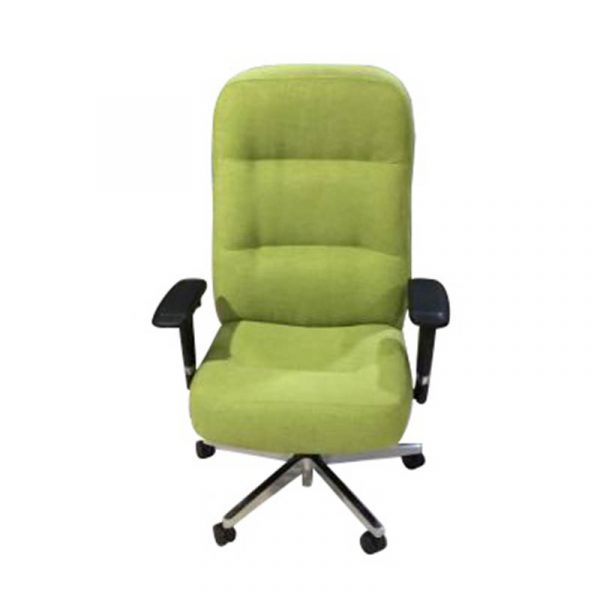 כסא מהלים דגם ביג בוס ירוק | א. חי גרף